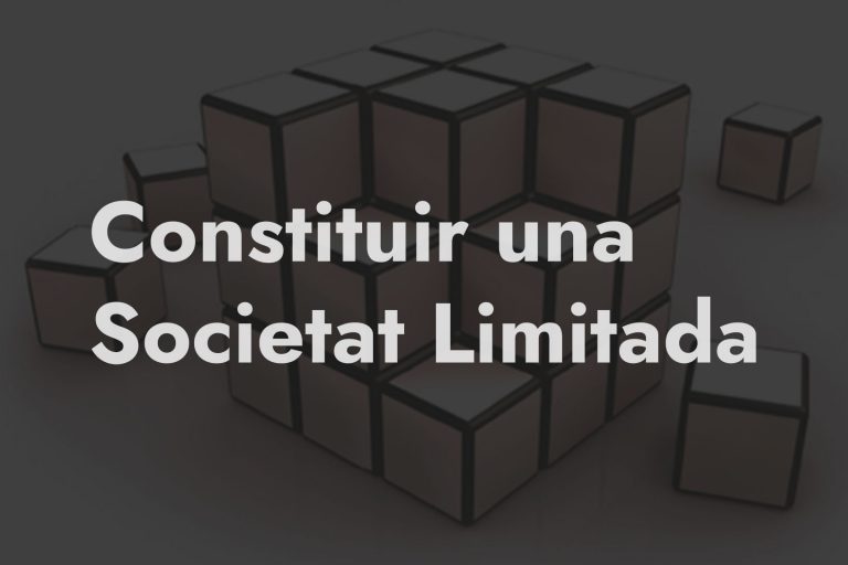 crear societat limitada constituir