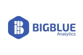 Big Blue Analytics