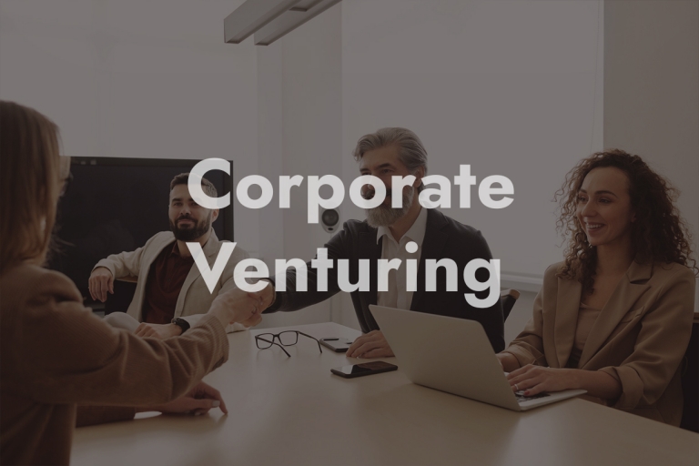 corporate venturing