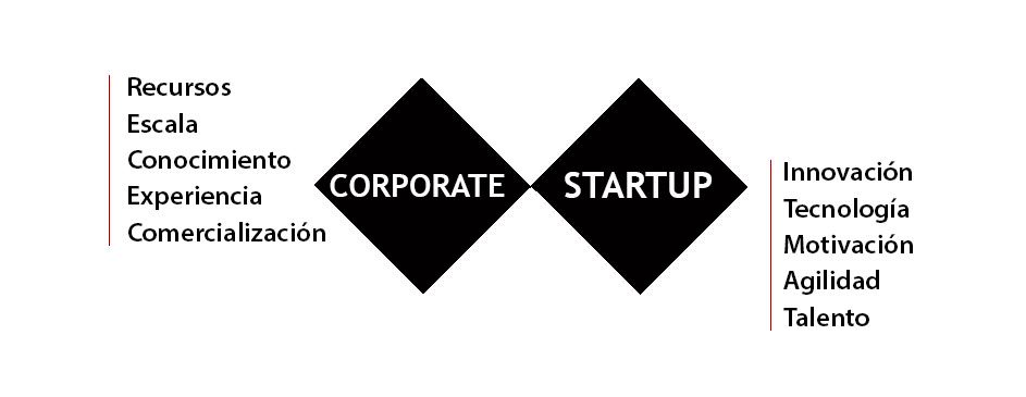 corporates y startups