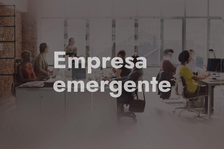 que es una empresa emergente