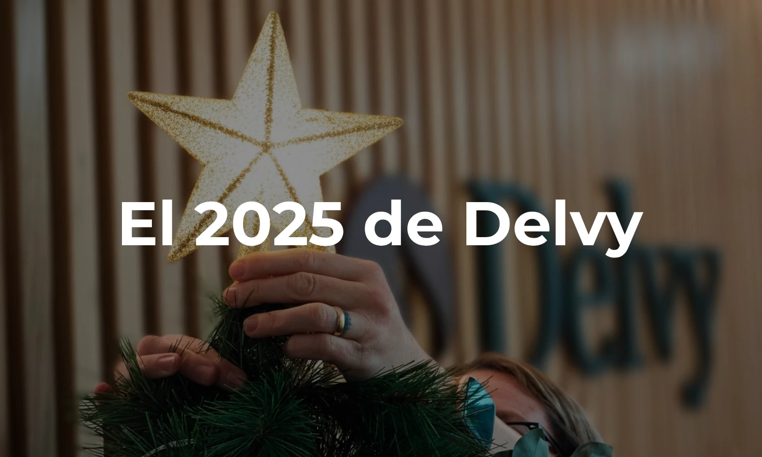 el 2025 de delvy